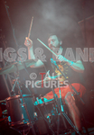 Pigsx7-81