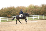 SBM_001884