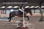 BPP_6537