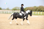 SBM_007261