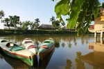 VIET_0341