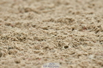 230701A-111904-05205