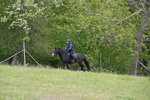 WJ6_1438