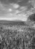 Titchwell RX100vii-39-Edit
