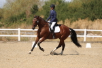SBM_013769