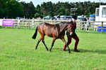 SBM_00959