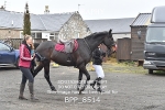 BPP_8514