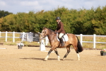 SBM_009373