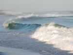 Hamptons