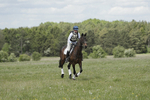 BVHT 140517  NXC -61