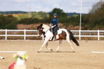SBM_009673