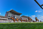 220826-Race 6-Sale Shark-6213