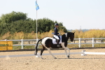 SBM_006498