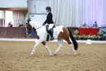 SBM_002203