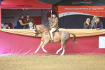 SBM_12515