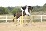 SBM_004058