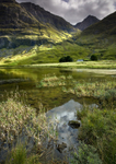 Glencoe Summer