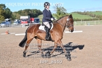 BPP_8440