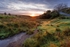 Tranquil Sunrise