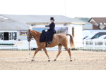 SBM_03245