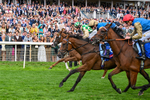 220826-Race 4-Daiquiri Bay-0458