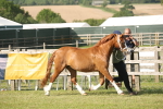 SBM_10442
