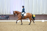 SBM_003564