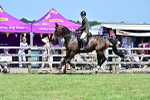 SBM_18143