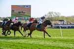 080426-Race 7-Sir Garfield-1205