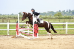SBM_009552