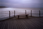 Windswept Seat, Saltburn