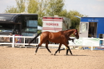 SBM_04575