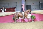 SBM_03339
