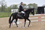 BPP_8255