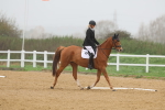 SBM_002080