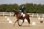 SBM_021913