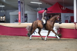 SBM_02158