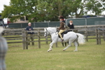 SBM_15907