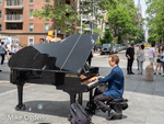 Pianist, Washington Square Park