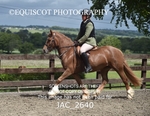 JAC_2640