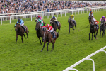 230824-Race 4-Bradsell-8409