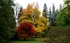 Benmore Gardens 3