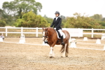 SBM_001008