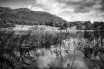 Loughrigg Tarn