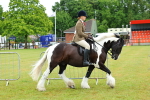 SBM_01157