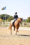 SBM_006578