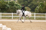SBM_01778