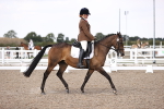SBM_07923