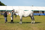 SBM_11826