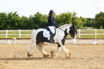 SBM_006968